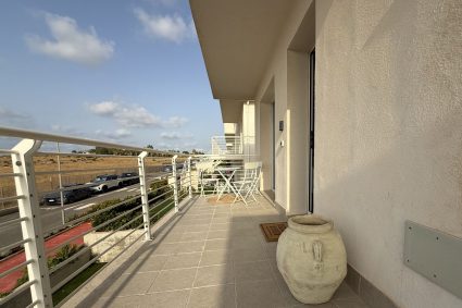 IMG_3296 IMG_3296